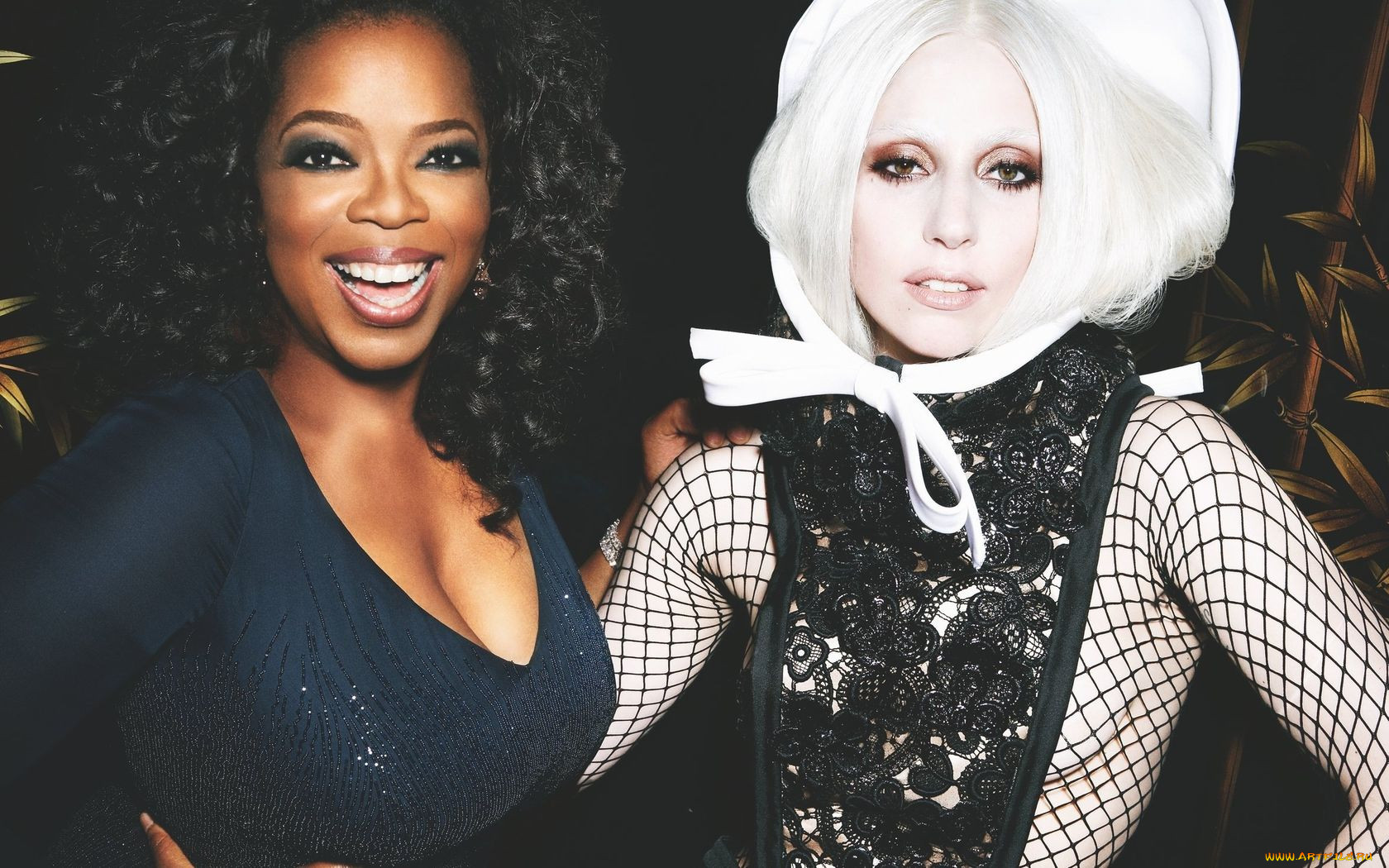 , lady, gaga, oprah
